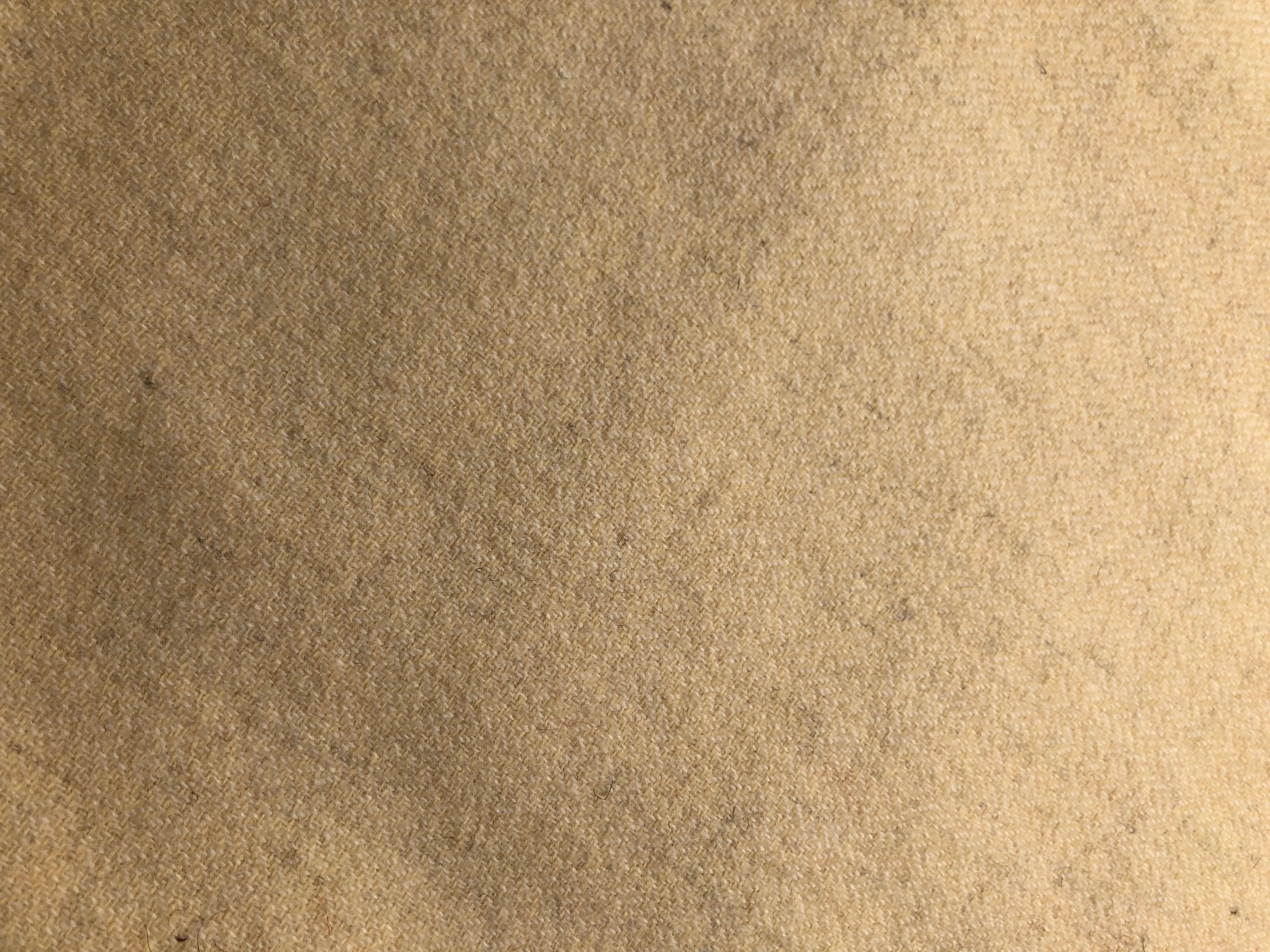 French Vanilla