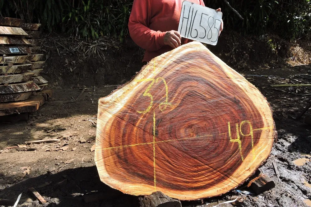 Slab LH16585