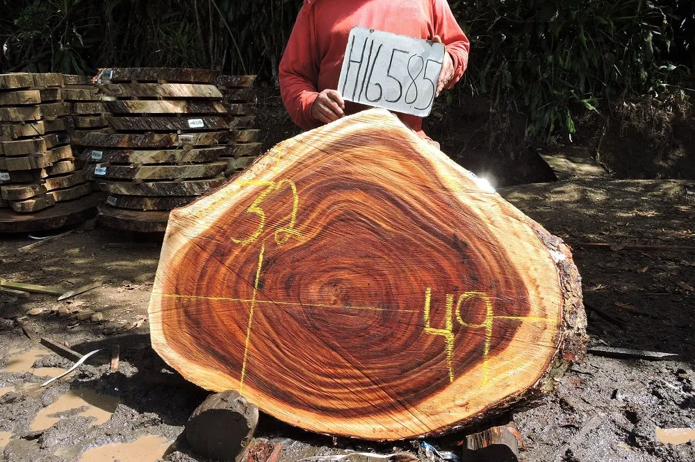 Slab LH16585