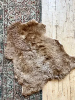 XL Soft Thick Auburn Organic Sheepskin